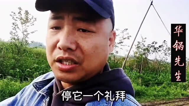 虾苗4块大虾8块,湖北潜江这龙虾行情根本猜不透,什么情况?