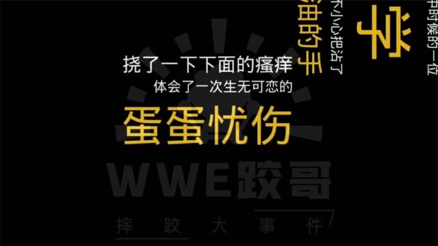 WWE小说:第17章 《不死小强》