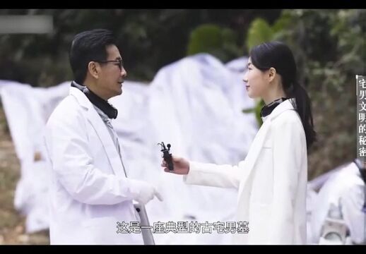 十个T的学习资料