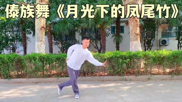 阳光绿荫下跳一段经典优美的傣族舞《月光下的凤尾竹》能否俘虏你的心