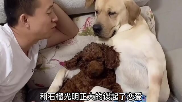 小迷糊为什么是老四的儿子?原来老四不简单!