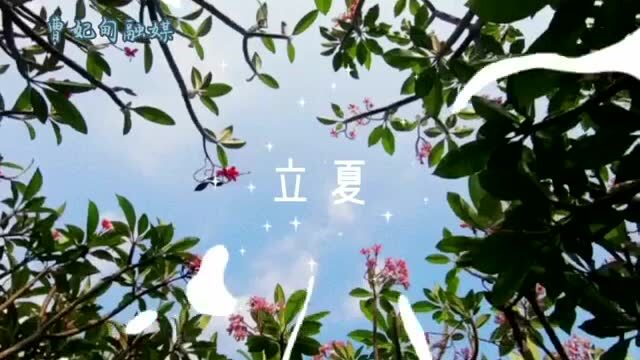 微视频丨别春迎夏 万物生长