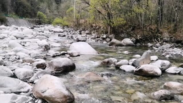 自驾游穿越秦岭,到达秦岭深处的黄柏塬镇,大街上冷冷清清