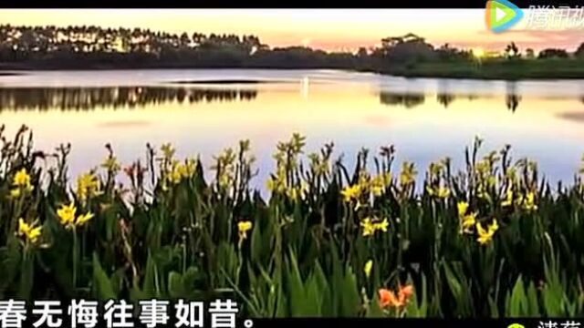 每日思语:青春无悔,往事如昔(青年节快乐)