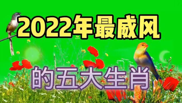 2025年,最威风的五大生肖.