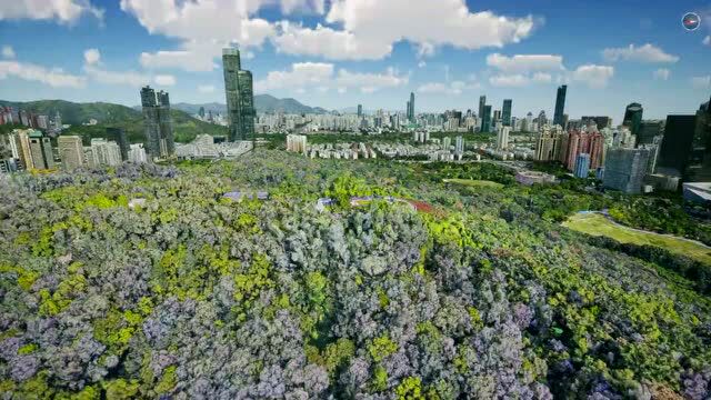 实景三维丨深圳:建智慧城市时空基础设施