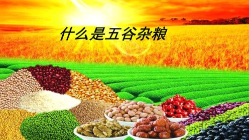 什么是五谷杂粮：稻谷、麦子、大豆、玉米、薯类为五谷，除米、面以外统称为杂粮