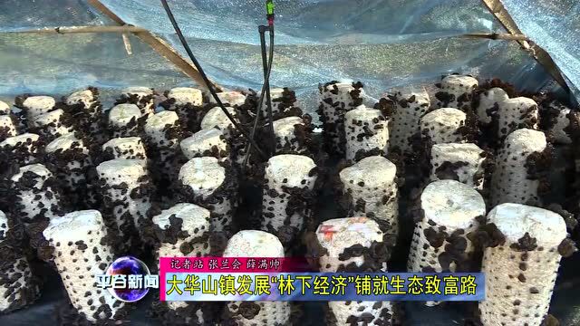 【生态】大华山镇发展“林下经济”铺就生态致富路