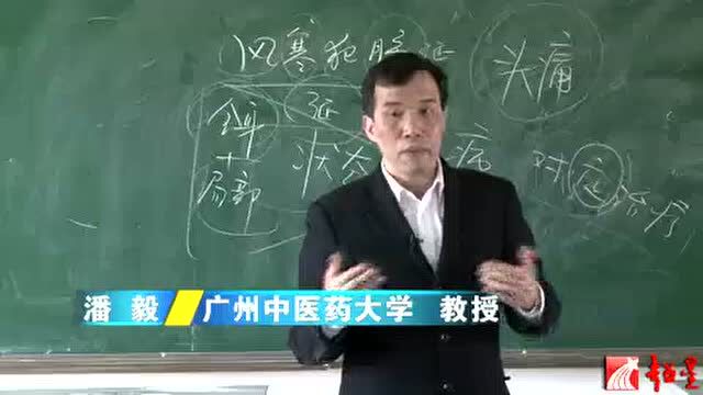 中医学基础课程五、中医学的主要特点3集视频.深圳广州惠州中医按摩培训中医康复理疗师培训推背按摩手法培训华手中医理疗真的假的