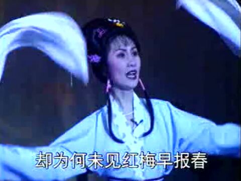 吕剧《荆钗记》选段 “叶飘零叹伶仃”演唱:王彬