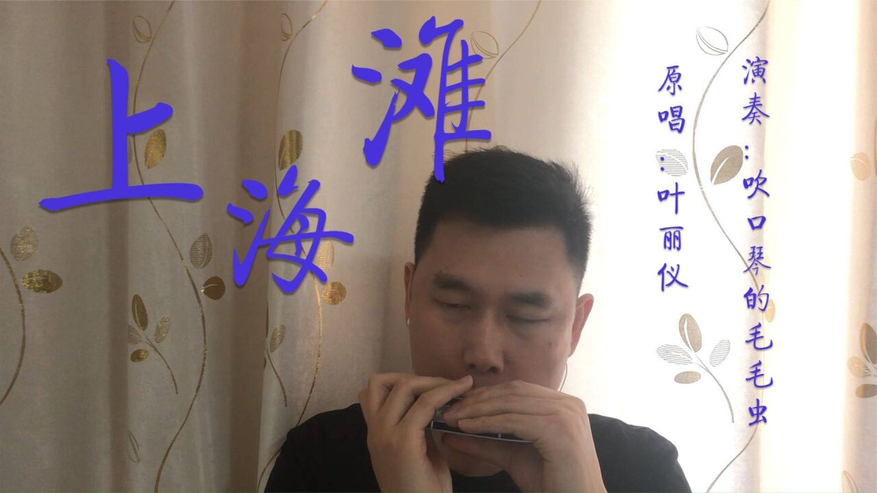 半音阶口琴演奏叶丽仪《上海滩,经典影视金曲,重温经典