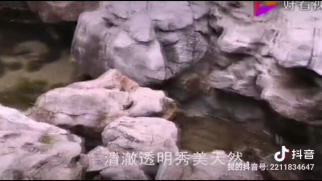 《美丽的趵突泉》我用近一年的时间,作词、作曲,献给我亲爱的家乡 泉城济南!