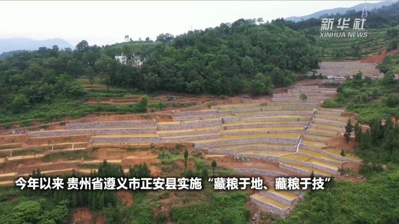 贵州正安:旱地改良田 保粮食安全