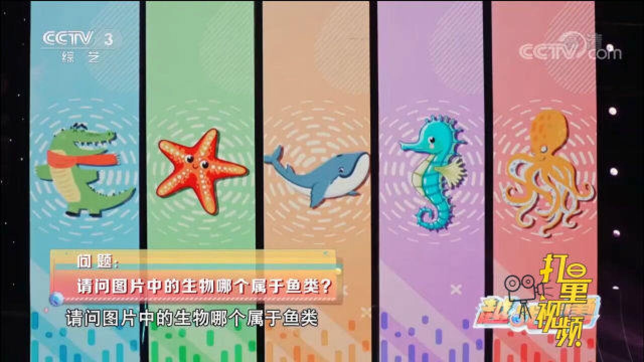 海洋动物科普小知识,海马竟然属于鱼类?戳视频来了解