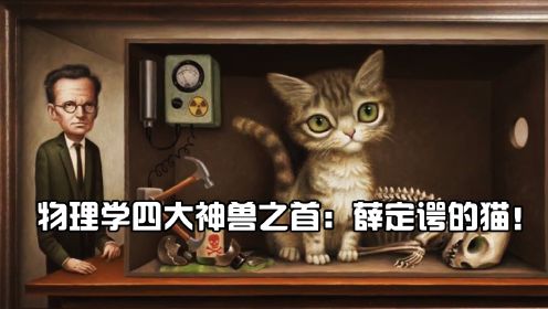 物理学四大神兽之首，薛定谔的猫，到底蕴含了什么样的秘密？