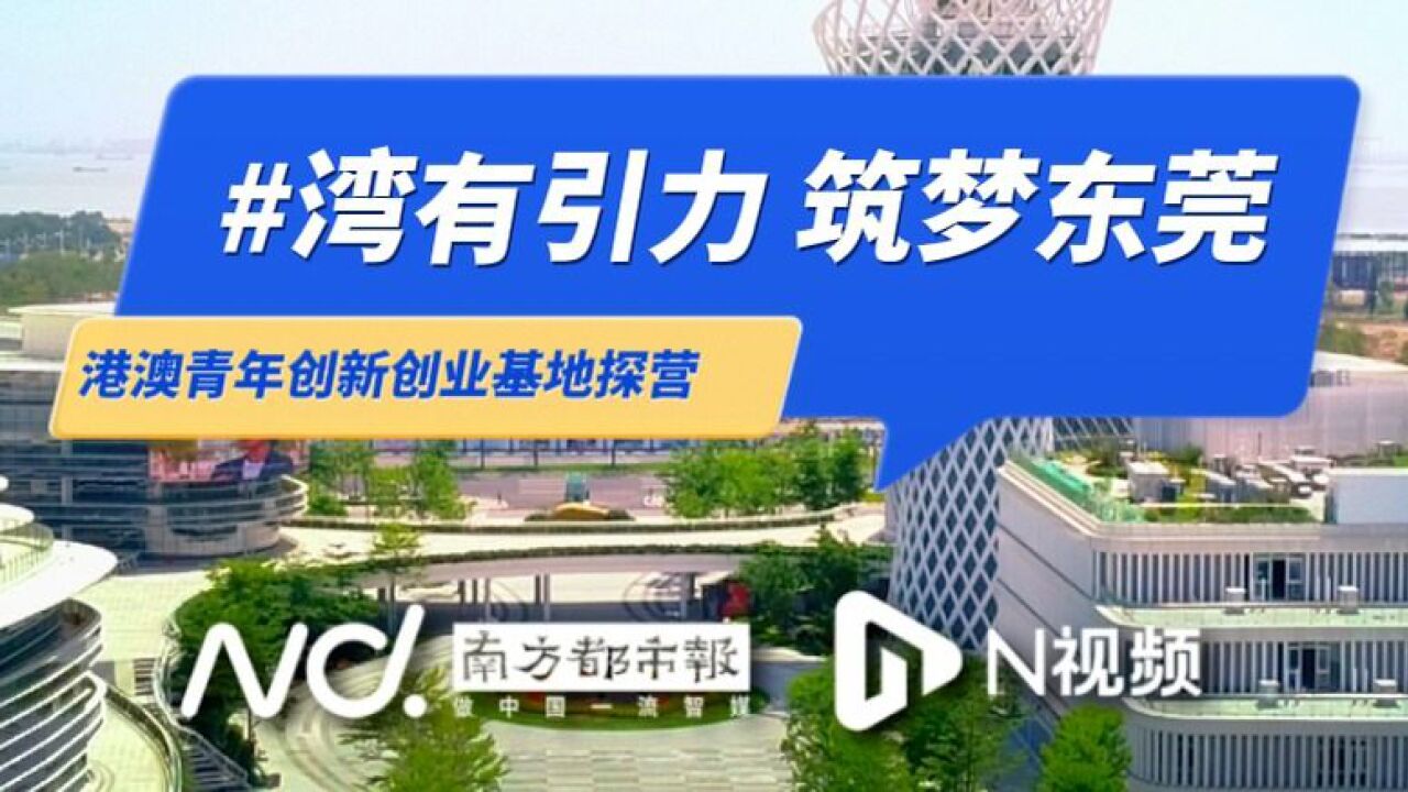 港澳青年为什么都爱来东莞?大湾区这片创业宝地不简单!