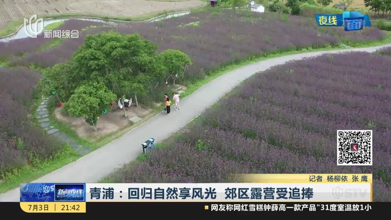 青浦:回归自然享风光 郊区露营受追捧