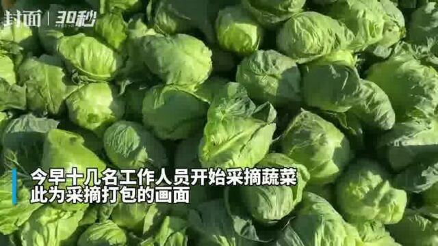 西安一大学教师获奖万元 用它为学校买来5000斤蔬菜