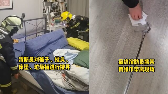 女子报警称床上有硬壳大虫!消防员全副武装到场一看无语了:浪费警力资源