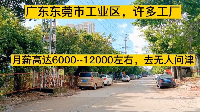 广东东莞市工业区,许多工厂月薪高达600012000左右,去无人问津