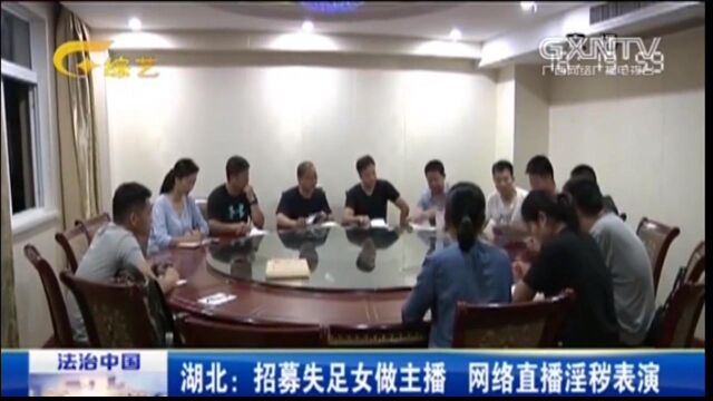 违法平台招募主播,网络直播进行不雅表演,收入令人不敢相信