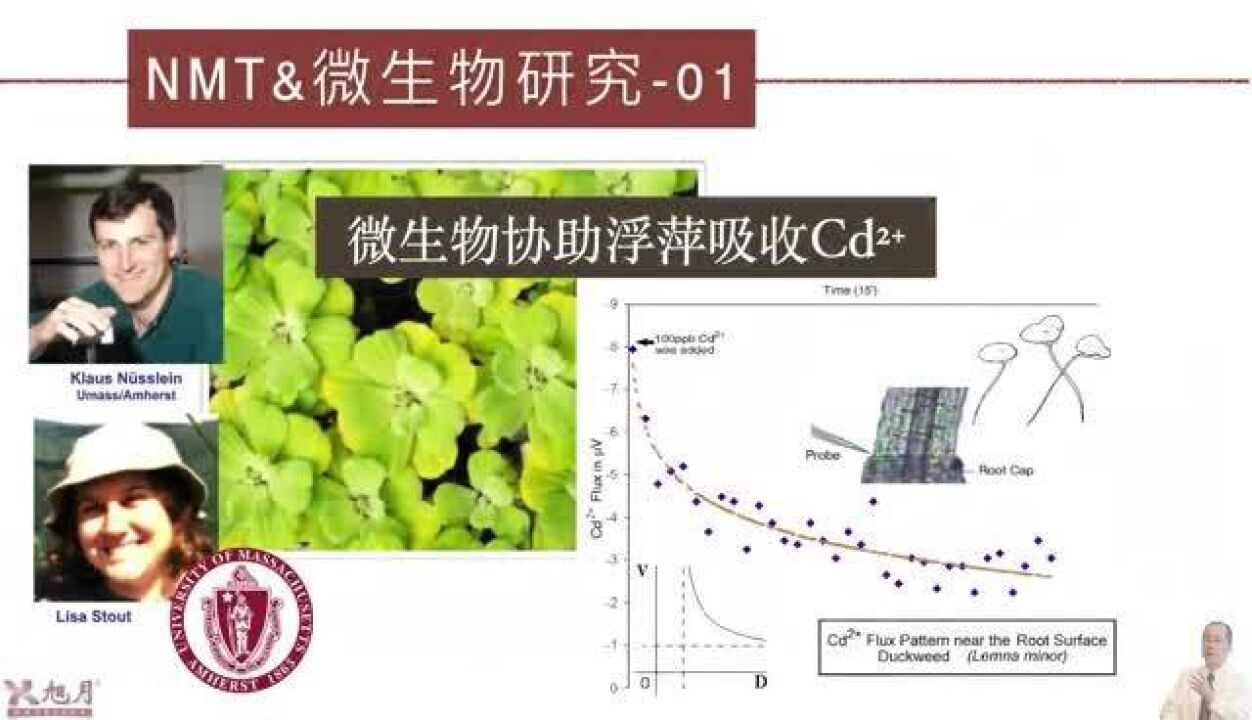 NMT与微生物研究(04)微生物与人关系密切【许越博主】