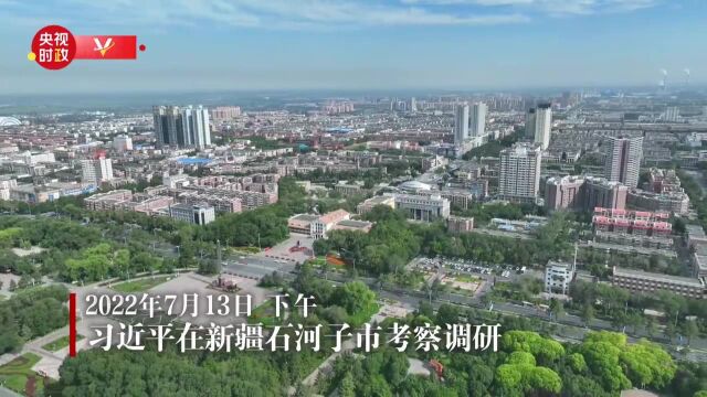 独家视频丨习近平在新疆石河子市考察调研