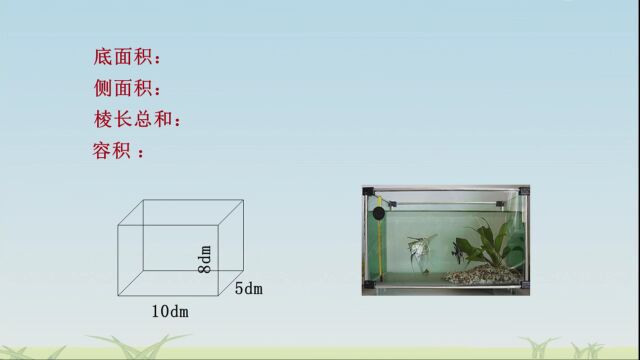 【1.9.2】苏教版数学六年级(上册)1.9.2《整理与练习》