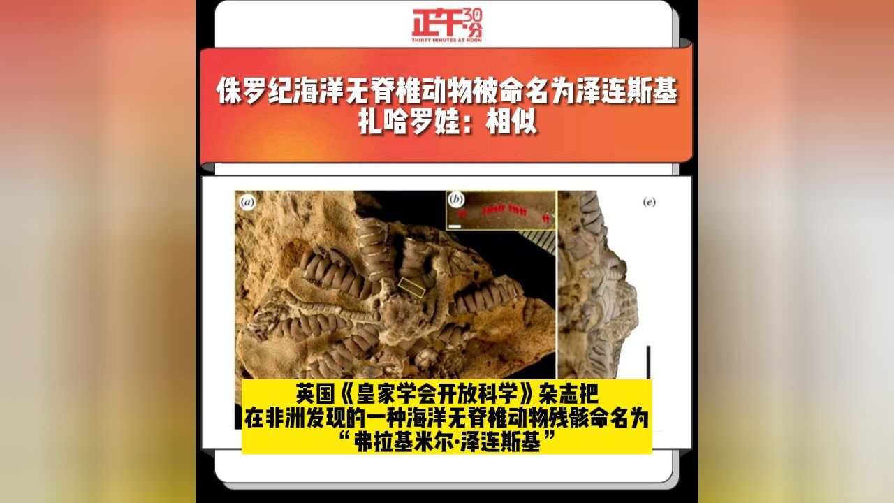 侏罗纪海洋无脊椎动物被命名为泽连斯基 扎哈洛娃:象征且相似