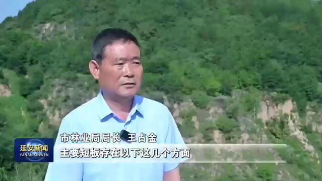 延安市林业局:持续用力 打造生态延安 绿色延安