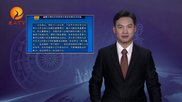 蓝晓:坚持依法审计文明审计清廉审计 以高质量审计监督保障经济社会高质量发展