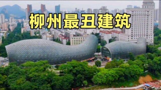 实拍广西柳州奇葩建筑,耗资3个亿打造,网友却吐槽像两个尿壶