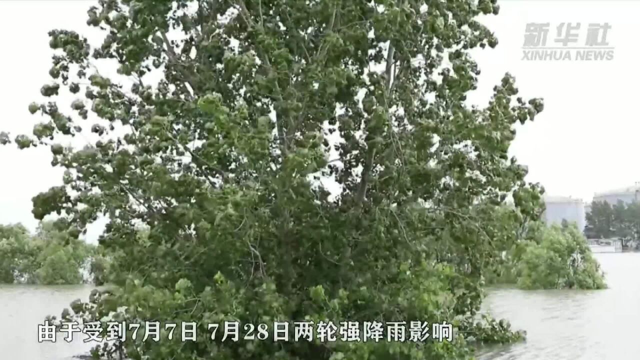 新华全媒+|辽宁省盘锦市绕阳河段发生溃口 抢险工作有序进行