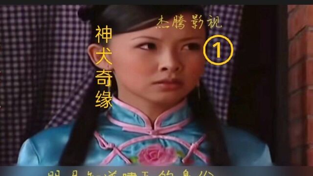 民间志异之《神犬奇缘》第一段