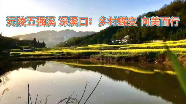 美丽乡村 | 沅陵五强溪、深溪口:乡村蝶变 向美而行