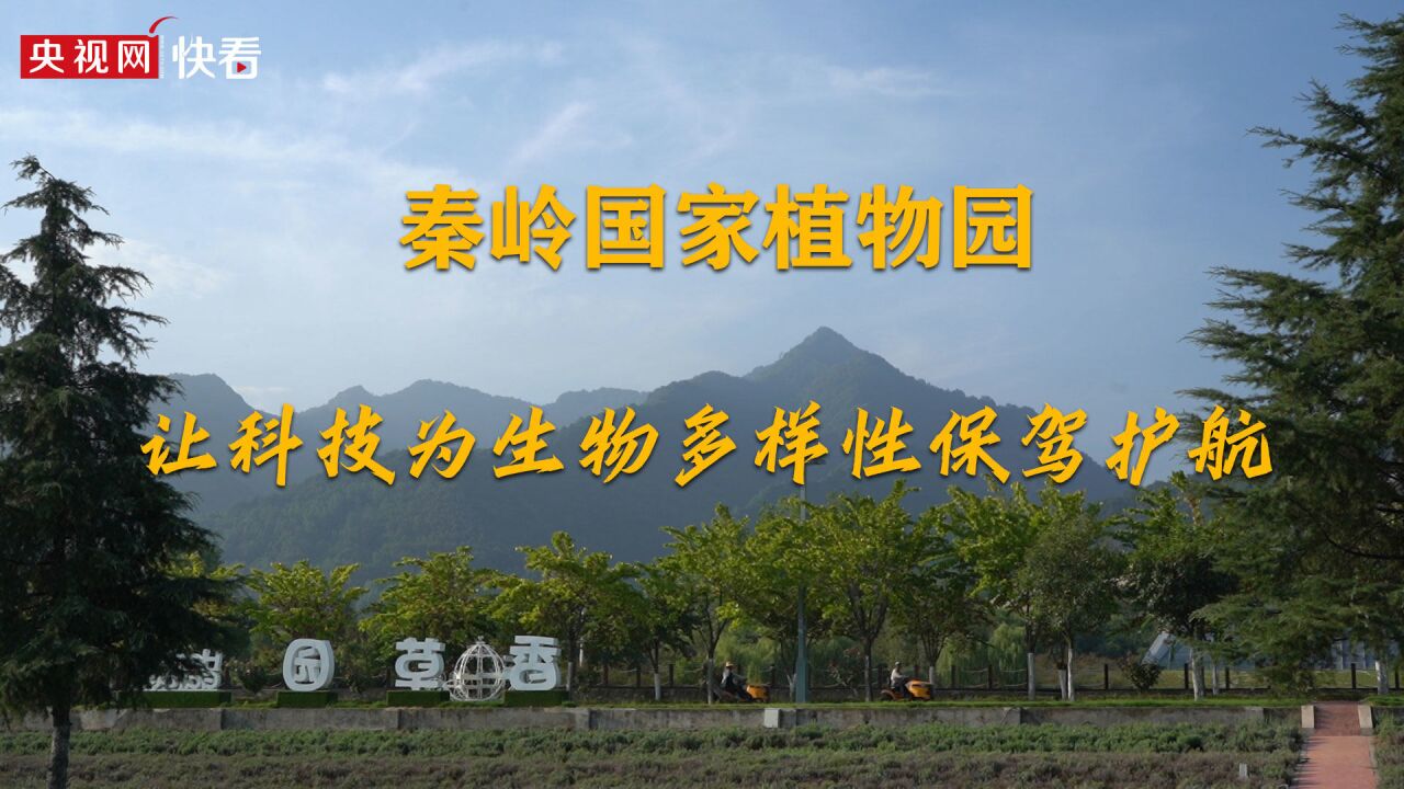 【美丽中国ⷧ𝑧𛜥꒤𝓧”Ÿ态行】秦岭国家植物园:让科技为生物多样性保驾护航