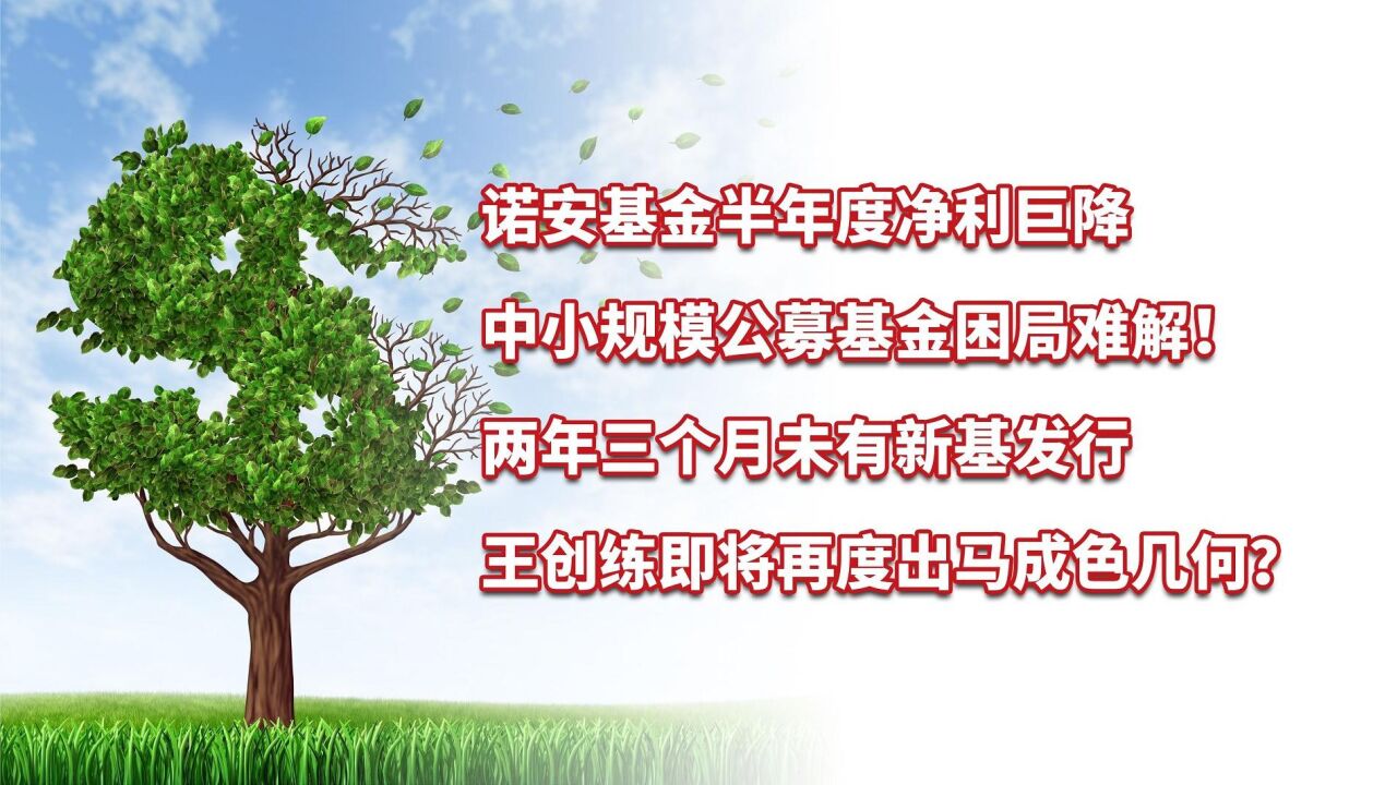 诺安基金净利巨降,超两年未发行新基,王创练再度出马成色几何?