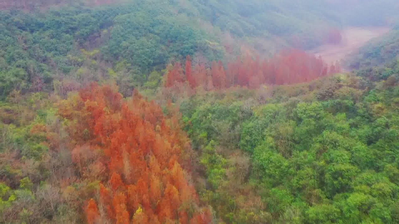 宁波有条美丽的溪流,名叫清源溪,发源于奶部山,落鄞江