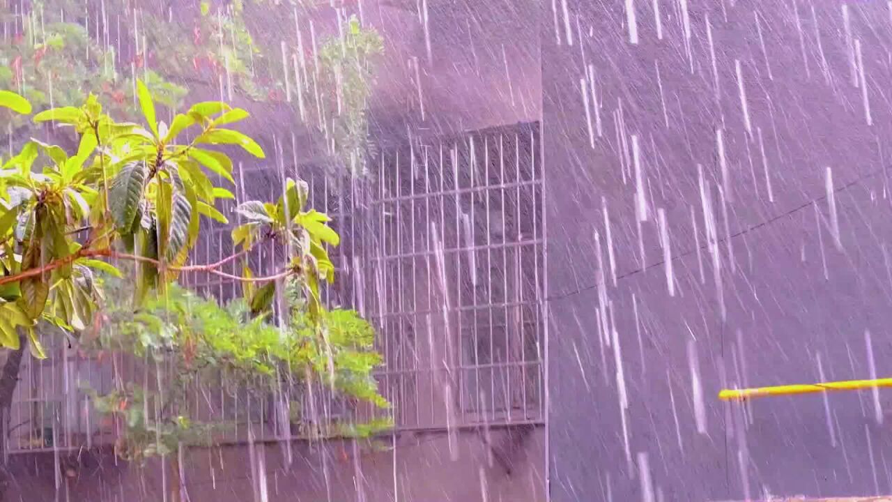 喜大普奔,8月16日广元城下雨了,滂沱大雨,你那里下雨了吗?