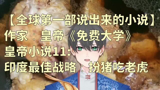 作家:皇帝《免费大学》皇帝小说11:印度最佳战略:扮猪吃老虎【全球第一部说出来的小说】