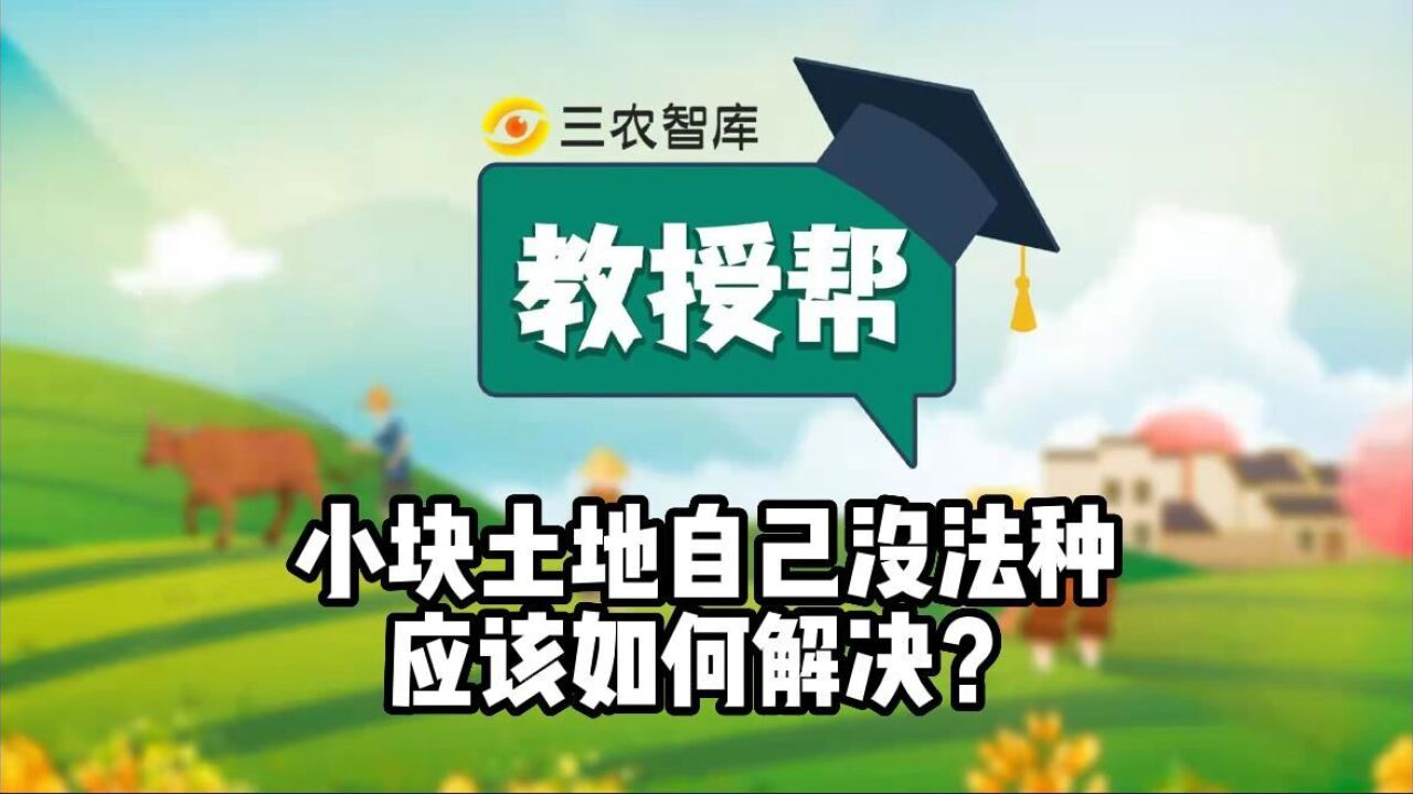 小块土地自己没法种应该如何解决?