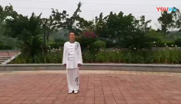 二十四式太极拳李伟新