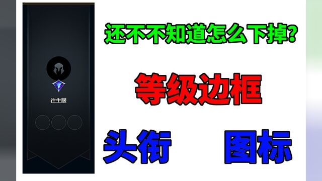 英雄联盟:一招教你怎么去掉等级边框、头衔、图标、包教包会!