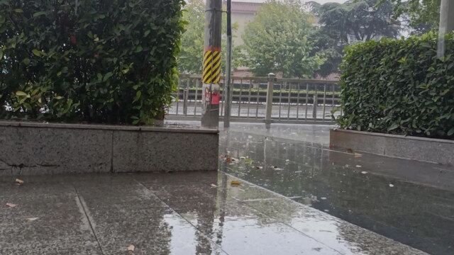 一蓑烟雨任平生,也无风雨也无晴,时常想起苏东坡先生的豪迈之晴