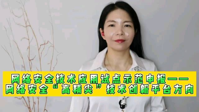 网络安全技术应用试点示范申报——网络安全高精尖技术创新平台方向