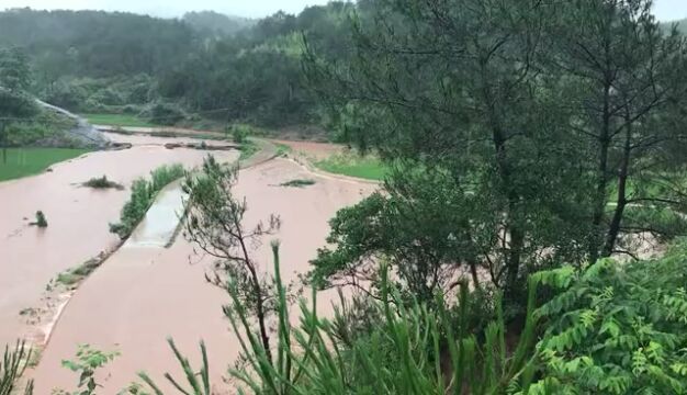 雨泽大地