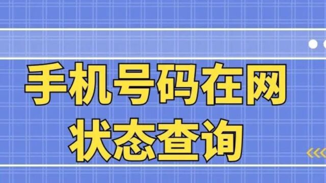 手机号码在网状态查询