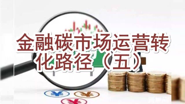 金融碳市场运营转化路径(五)其他