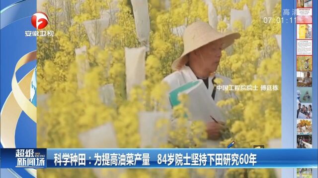 为提高油菜产量,84岁院士坚持下田研究60年