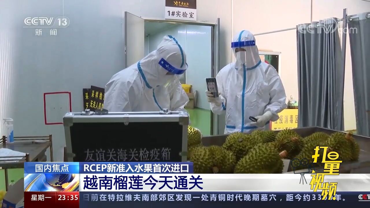 RCEP新准入水果首次进口,越南榴莲19日顺利通关